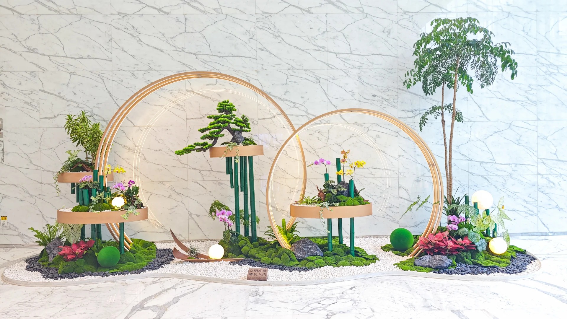 专业前湾盆景租赁，给空间增添别样生机